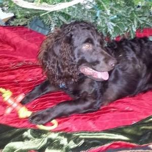 Meet your Posher, Vicki